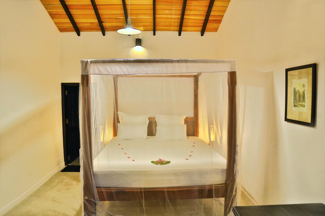Blue Parrot Beach Villa Амбалангода Екстериор снимка